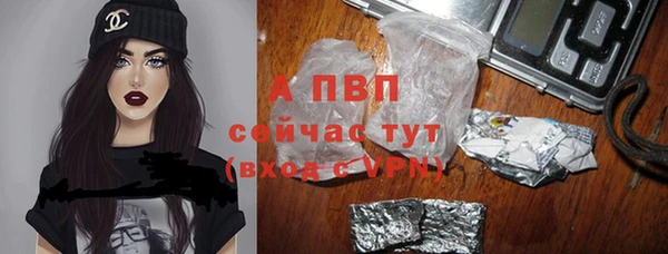 мяу мяу мука Михайловск